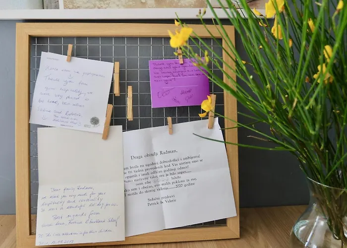 Radman * שיבניק