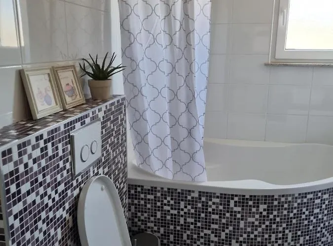 Radman * שיבניק